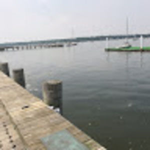 Meet your Posher, Siobhan